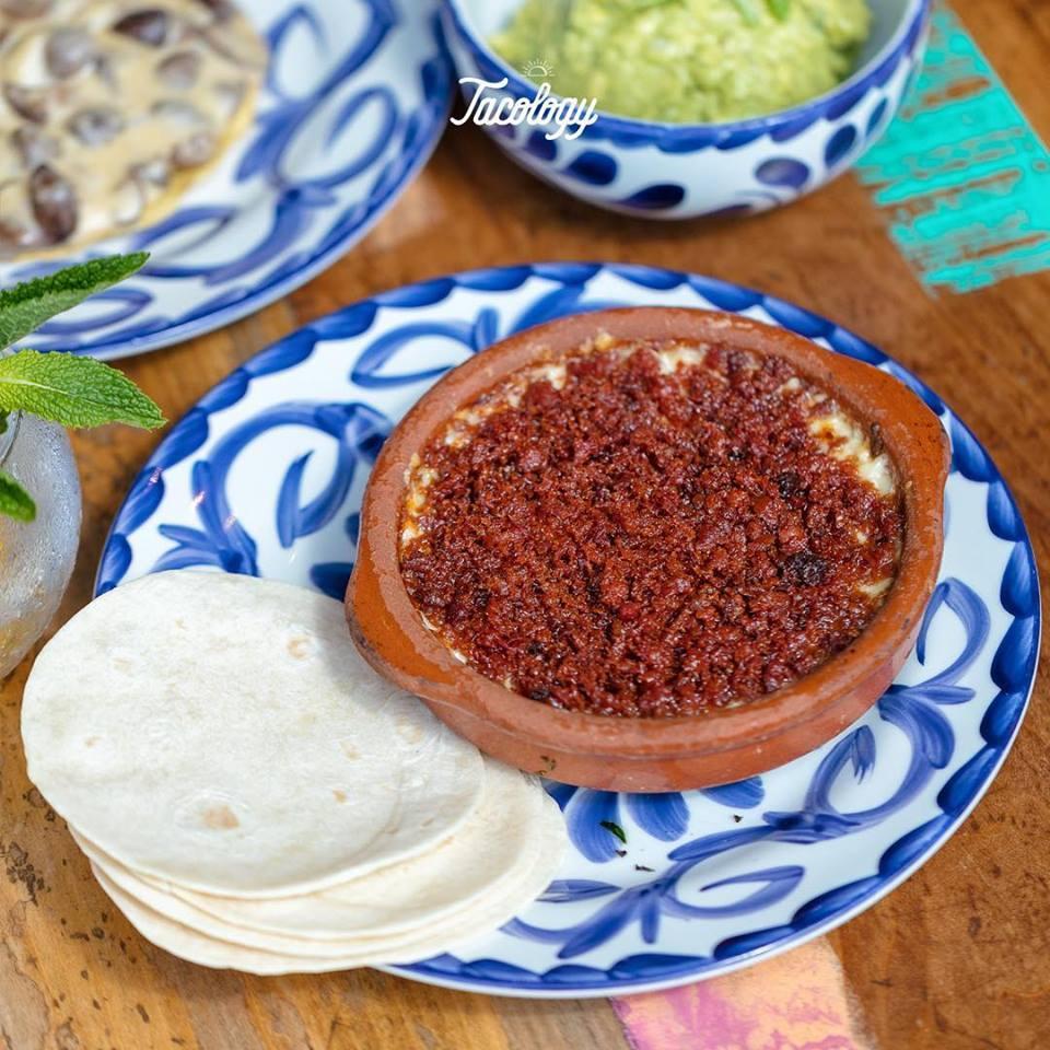 Tacology Restaurant Restaurant Brickell, Mexican Food